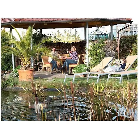 Vakantiewoning In Zwarte Woud 公寓 *