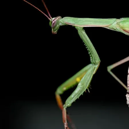 Vakantiewoning In Zwarte Woud 公寓 Eichstetten