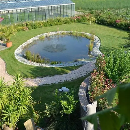 Vakantiewoning In Zwarte Woud