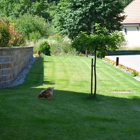 Vakantiewoning In Zwarte Woud 公寓