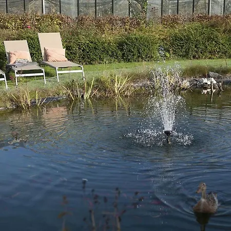 Vakantiewoning In Zwarte Woud