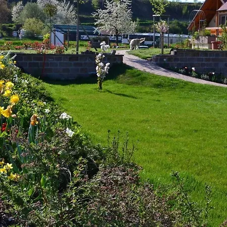 Vakantiewoning In Zwarte Woud