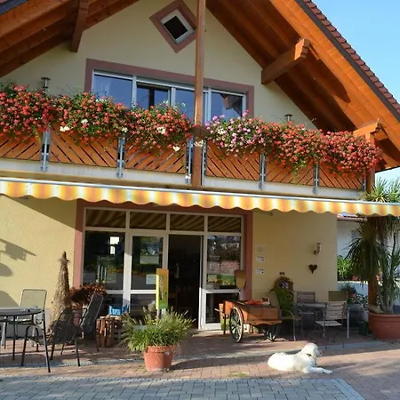 Apartment Vakantiewoning In Zwarte Woud